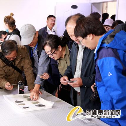 石器时代新篇章：宠物世界探险记