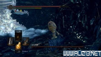 《黑暗之魂重制版》BOSS飞龙/白龙断尾攻略：高效打法揭秘