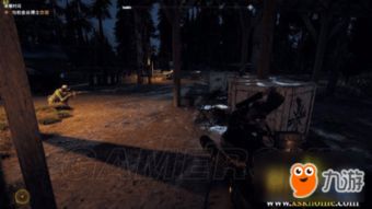 《孤岛惊魂5》雇佣兵职业技能深度解析，掌握最强战斗力