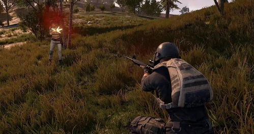 《绝地求生》新版本武器伤害调整揭秘：命中率大提升！