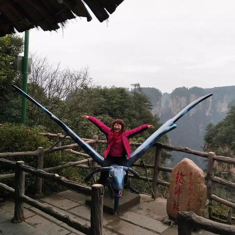 《阿凡达》攻略2：深度解析，隐藏技巧大揭秘！