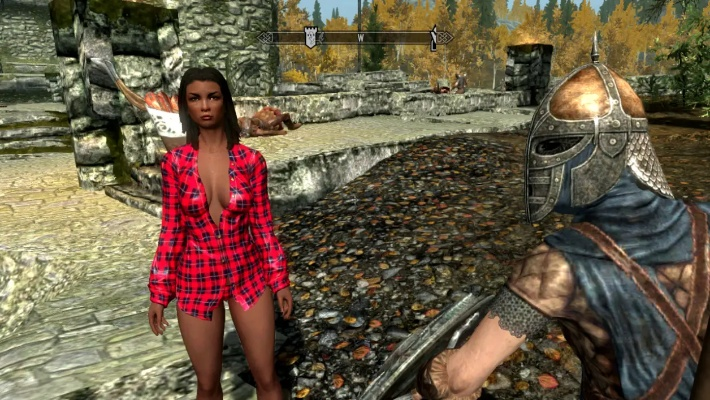 上古卷轴5天际MOD安装避坑攻略：新手必看黑名单大揭秘