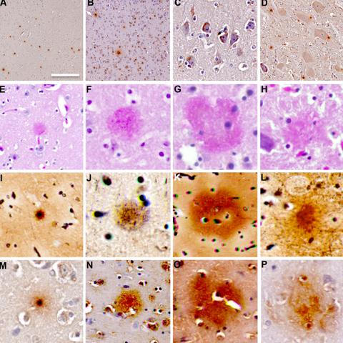 《死亡搁浅2》数据科学家位置揭秘!等级解锁奖励一览 《死亡搁浅2》数据科学家位置揭秘!等级解锁奖励一览