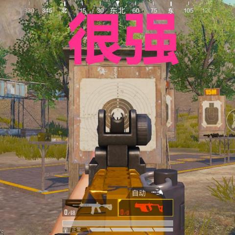 《维克托新版本伤害解析：配件搭配与实战技巧》