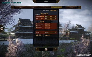 《幕府将军2》菜单攻略：深度解析，必看技巧！