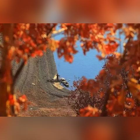 《香格里拉边境》动画改编新游首曝，沉浸式探险启程