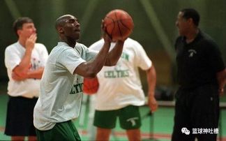 《卢米纳尔攻略：解限机玩法揭秘》