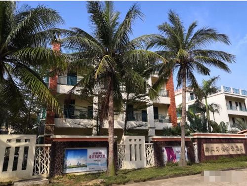 椰风海韵新篇章：《模拟城市：我是市长》畅游海滨魅力