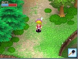 《牧场物语风之集市》新系统揭秘！探索繁华新篇章