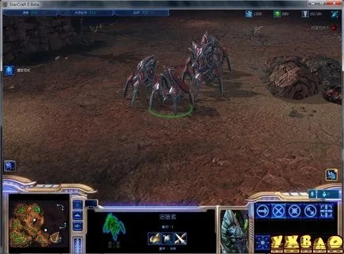 《虫族精英盘点：星际争霸2BETA最强单位揭秘》