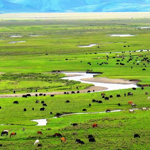 《2025年晴空最强阵容：打造全能型主力攻略》