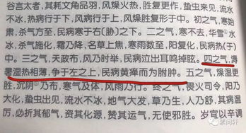 《明末渊虚之羽石损伤增防攻略：高效获取方法揭秘》