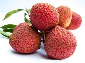 《燕云十六声》荔枝套染七天不重样，仅需6元！超值！