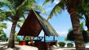 《原神》5.8胜地拍照攻略：度假村纪念册最佳拍摄点揭秘