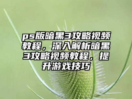 《黑2新手必看！入门攻略视频深度解析》