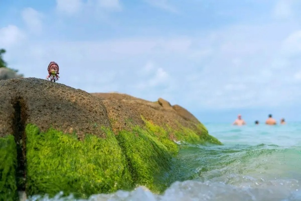 《晃晃人生》9月19日启航，星辰大海等你探险！