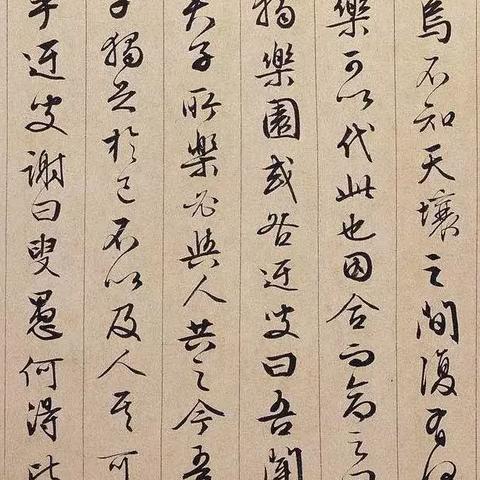 《逍遥情缘》采药达人秘籍：采药商店宝藏盘点！