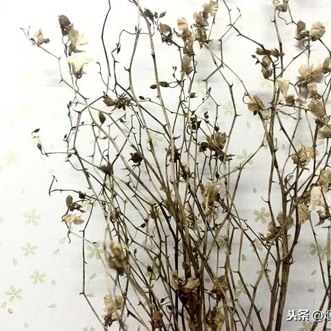 《烈焰飞雪》手游8月16日不删档，战国烽火再燃热血征途