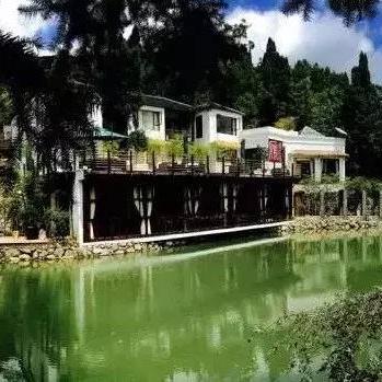 《桃花源记2》夏末狂欢：新服开启，限时欢享！