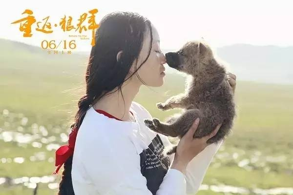 《羊蹄山》女主与狼伴深情互动：独家揭秘心肝宝贝情缘