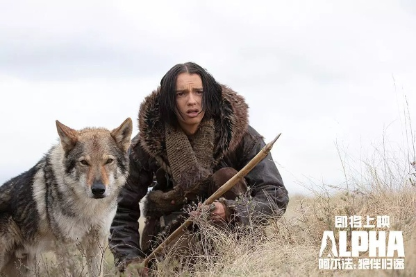 《羊蹄山》女主与狼伴深情互动：独家揭秘心肝宝贝情缘