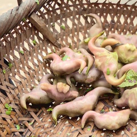 七夕集市牛角女郎必得！三角洲行动垃圾箱爆率盘点