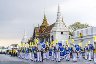 《水晶宫探秘:东海龙王豪华宫殿大揭秘》 《水晶宫探秘:东海龙王豪华宫殿大揭秘》