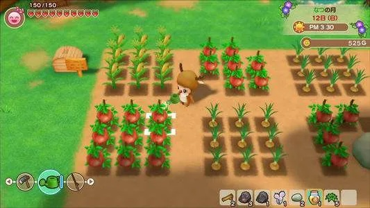 夏季丰收指南：揭秘《牧场物语风之繁华集市》作物价值与生长周期