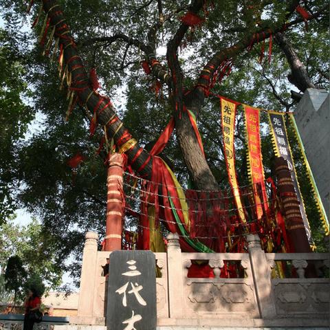 《族人》EA评测：苏格兰拓荒之旅，体验7分好评之旅