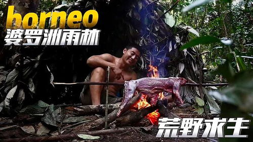 荒野求生惊魂夜：五男四女采石场冒险记