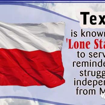 太空赏金猎人必备！数学达人解锁《孤星猎人》评测攻略