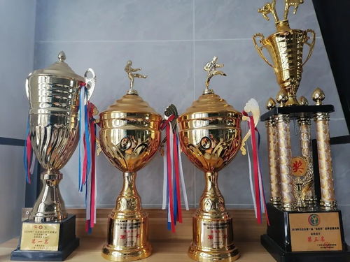 《羊蹄山之魂》水墨画攻略:丹青之心奖杯必得技巧揭秘 《羊蹄山之魂》水墨画攻略:丹青之心奖杯必得技巧揭秘