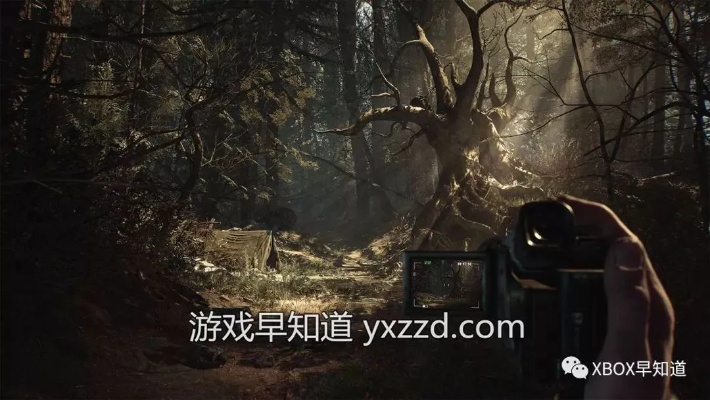 《布莱尔女巫》评测：一人一狗黑森林惊悚冒险之旅