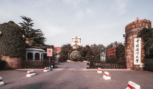 《羊蹄山之魂》1.006版更新揭秘：全新内容大放送，体验升级！