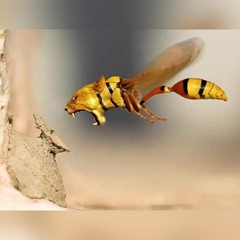 《羊蹄山之魂》武器大全攻略：全武器获取位置解析秘籍