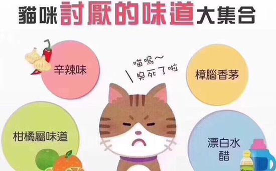 《十三州行动》新手攻略：轻松掌握十三州玩法技巧