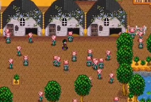 姜岛商人解锁攻略：揭秘星露谷物语独特商人解锁技巧