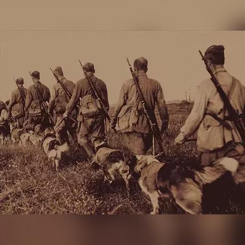 《战争机器5》评测:经典IP焕新升级,探索变革新篇章 《战争机器5》评测:经典IP焕新升级,探索变革新篇章