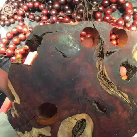 《空洞骑士丝之歌》新手村高效刷钱攻略:快速获取珠子必备技巧 《空洞骑士丝之歌》新手村高效刷钱攻略:快速获取珠子必备技巧