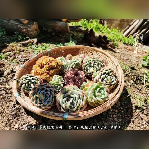 《最终幻想14》红莲狂潮评测:东方破晓赤焰再燃,体验全新战斗盛宴 《最终幻想14》红莲狂潮评测:东方破晓赤焰再燃,体验全新战斗盛宴