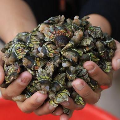 《地狱即我们》发售平台比价:揭秘哪个平台价格更实惠 《地狱即我们》发售平台比价:揭秘哪个平台价格更实惠