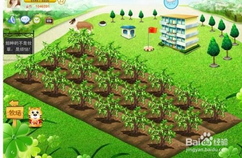 《菜市场模拟器》牧场攻略:揭秘高效动物养殖技巧 《菜市场模拟器》牧场攻略:揭秘高效动物养殖技巧