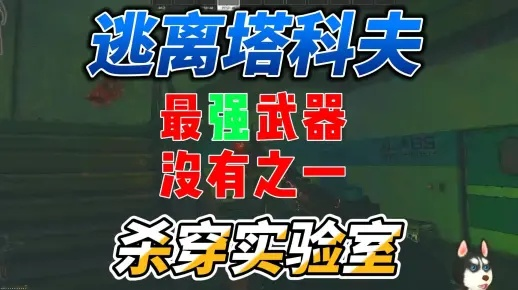 《逃离鸭科夫》高级穿甲弹蓝图攻略：实验室神秘隐藏点揭秘！