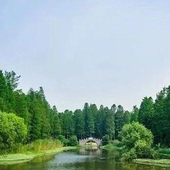 《侏罗纪世界进化3》攻略秘籍:深度解析运营技巧,助你轻松升级! 《侏罗纪世界进化3》攻略秘籍:深度解析运营技巧,助你轻松升级!