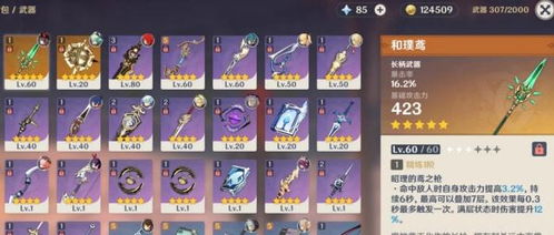 茜特莉圣遗物搭配攻略：高效升级必备秘籍揭秘