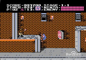 《忍者龙剑传外传怒之羁绊》全关卡攻略视频汇总,高效通关秘籍大公开 《忍者龙剑传外传怒之羁绊》全关卡攻略视频汇总,高效通关秘籍大公开