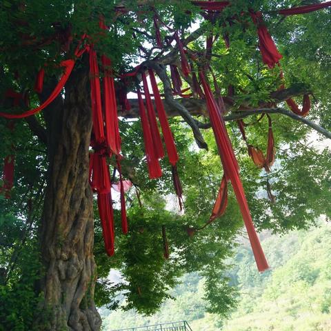 《明末渊虚之羽》开局必备!高效开荒攻略大揭秘 《明末渊虚之羽》开局必备!高效开荒攻略大揭秘