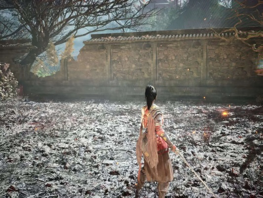 《明末渊虚之羽》羽影翩然效果解析：轻松获取独门秘籍！