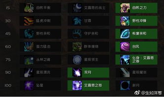 《剑星》全密码攻略揭秘：高效获取秘境密码技巧分享