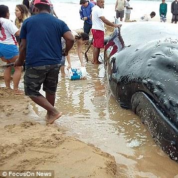 《死亡搁浅2》解锁时间生物学家：揭秘神秘位置与等级奖励攻略